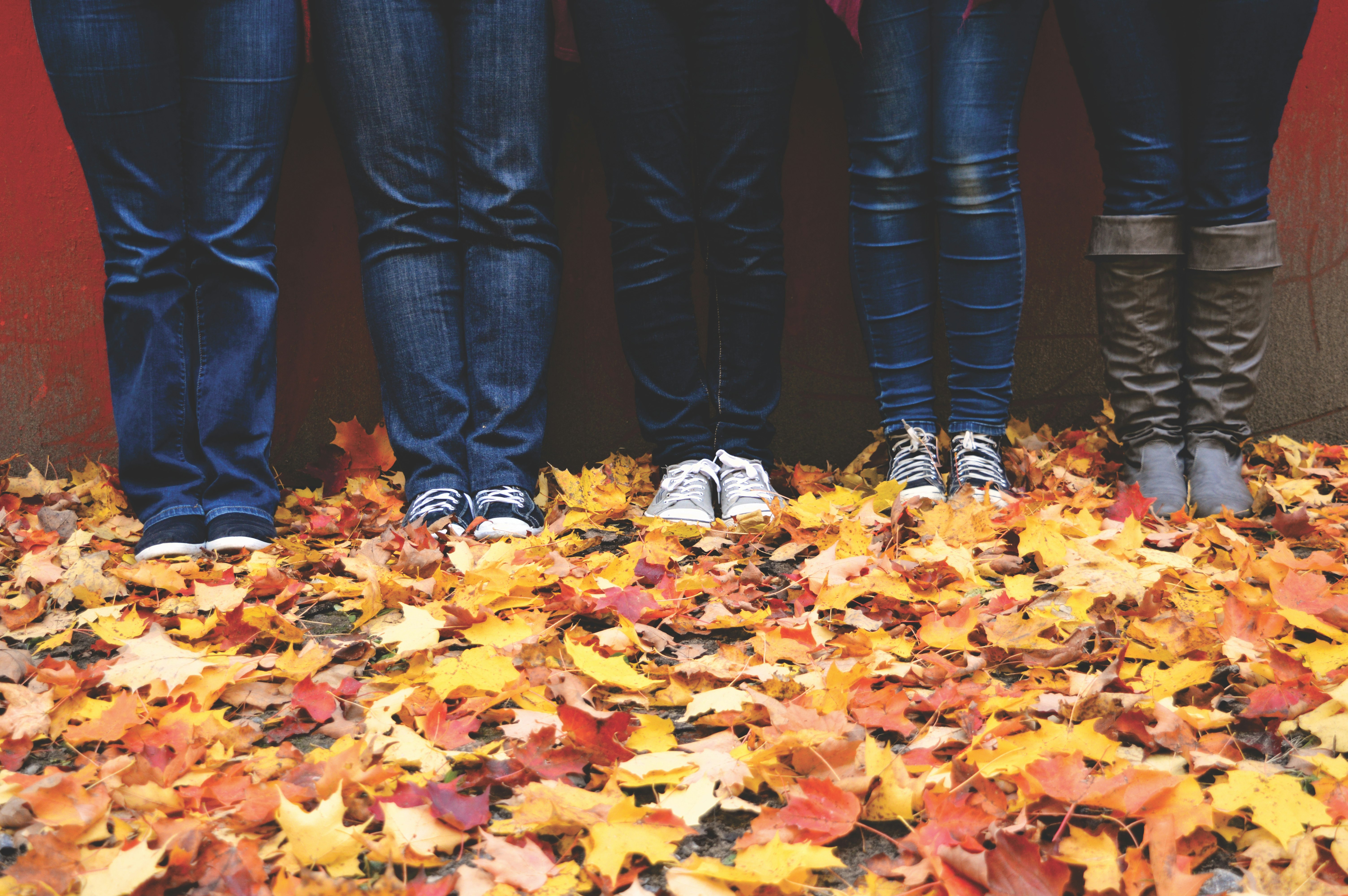 five people wearing blue denim jeans standing near maple leaves